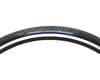 Image 1 for Terry Tellus PT Road Tire (Black) (650c / 571 ISO) (28mm)