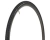 Image 1 for Vittoria Randonneur II Classic Tire (Black) (700c / 622 ISO) (25mm)