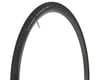 Image 1 for Vittoria Randonneur II Classic Tire (Black) (700c / 622 ISO) (28mm)