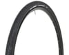 Image 1 for Vittoria Randonneur II Classic Tire (Black) (700c / 622 ISO) (37mm)
