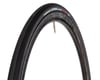 Vittoria Corsa Control Road Tire (Black) (700c / 622 ISO) (25mm)