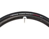 Image 3 for Vittoria Rubino Pro TLR Tubeless Road Tire (Black) (700c / 622 ISO) (28mm)