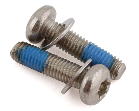 Paul Components Stainless Mounting Bolts (T-25) (Pair) (For Flat Mount Calipers) (20mm)