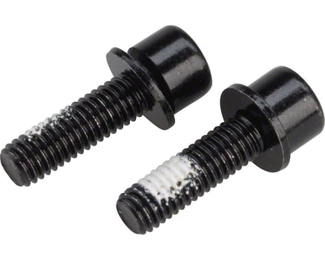 TRP Mounting Bolts for Flat Mount Rear Calipers (Black) (17mm)