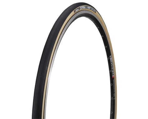 Vittoria Corsa G+ Road Tire (Black) (23)