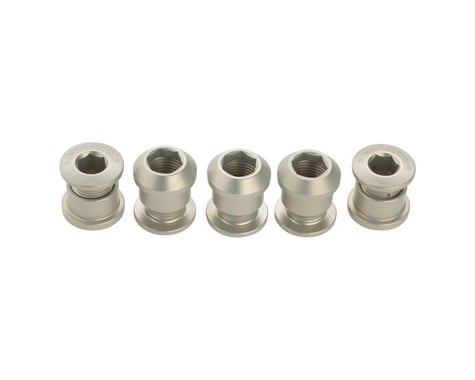 Wolf Tooth Components Dual Hex Fitting Chainring Bolts (Silver) (6mm) (5-Pack)